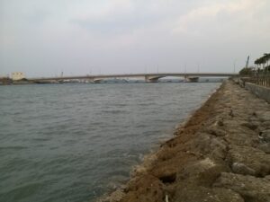 コチが釣りたくて安謝川河口 (5)