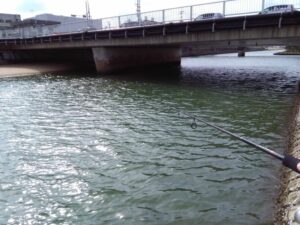 うるま市の石川河口 (2)