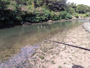 沖縄。渓流のような河川での釣り