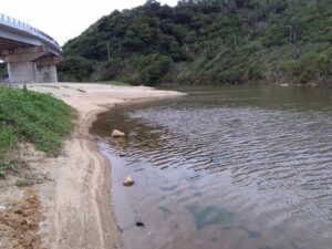 大宜味村の川 (3)