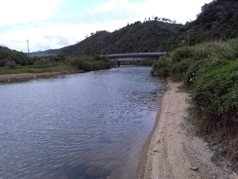 大宜味村の川